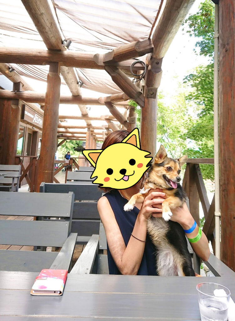 レストラン「AZEKIRI」にて休憩中の愛犬