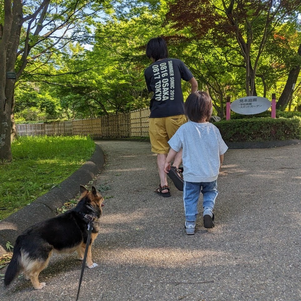 公園を散歩する親子