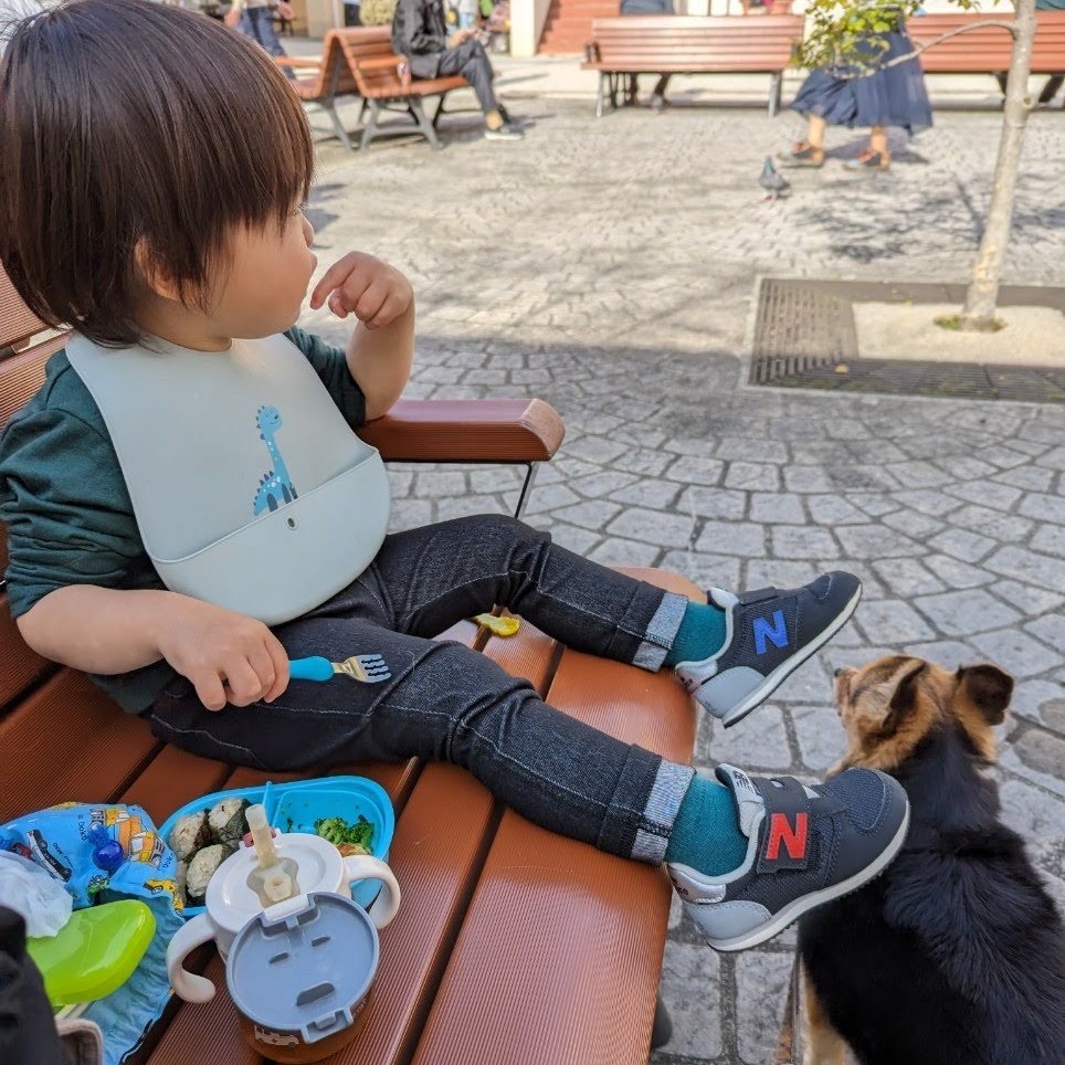 ベンチでお弁当を食べる子供と犬